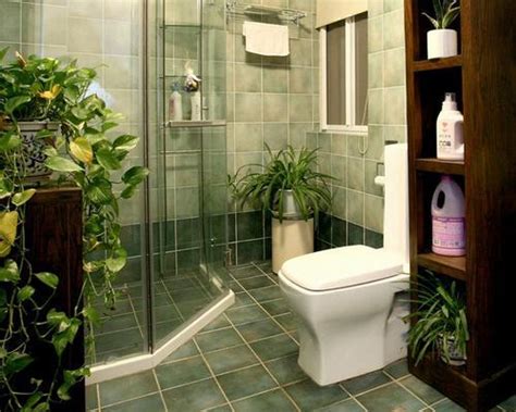 廁所放植物